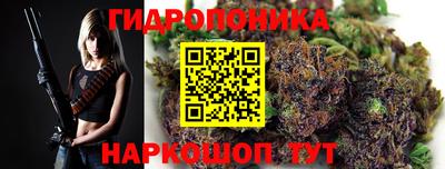 дурь Дубна