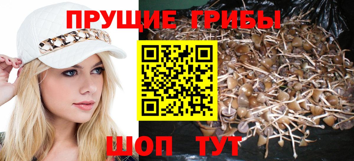 Псилоцибиновые грибы Psilocybine cubensis  Псилоцибиновые грибы ЛСД  Вход с VPN  Минеральные Воды 