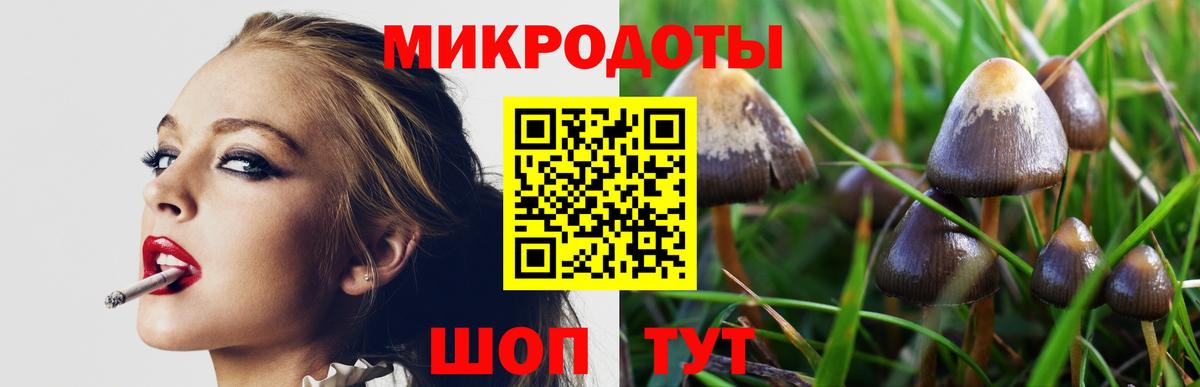 Псилоцибиновые грибы GOLDEN TEACHER Минеральные Воды
